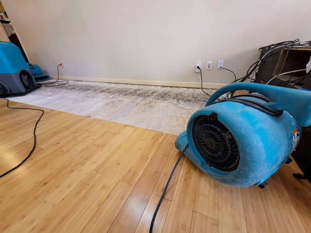 Professional Water Damage Repair technician working in Pasadena, CA